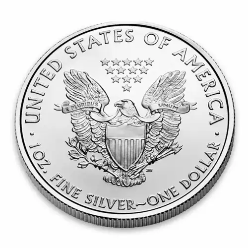 2010 1oz American Silver Eagle (3)