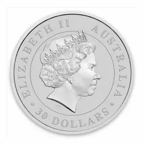 2016 1kg Australian Perth Mint Silver Koala (2)