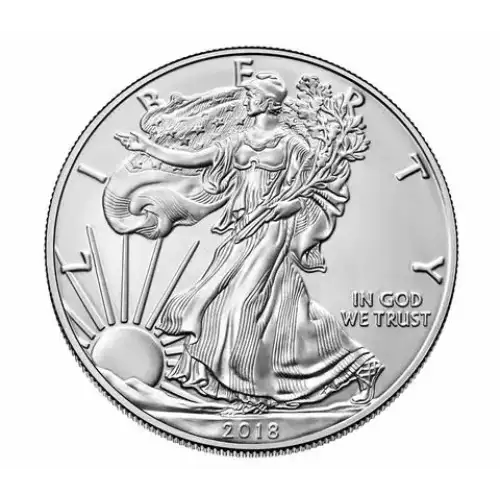 2018 1oz American Silver Eagle (2)