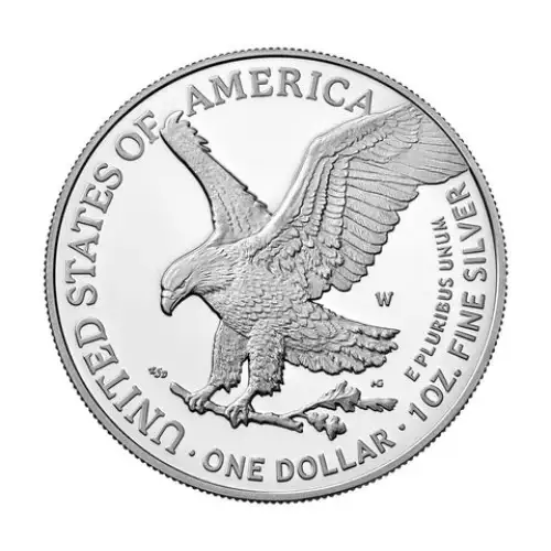 2023 1oz American Silver Eagle (3)