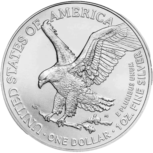 2024 1oz American Silver Eagle (3)