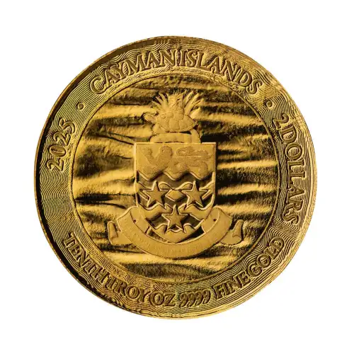 2025 1/10 oz Loggerhead Turtle - Cayman Islands Gold Coin (3)